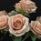 Küçük resim: 7'lı Gül ( Açık Kahverengi )