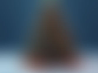 Christmas & Easter in the holy land?