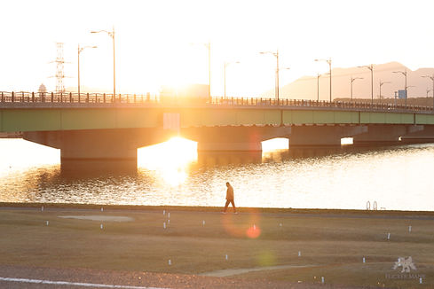 24-105mm F4 DG OS HSM 作例 逆光フレア、ゴースト写真3