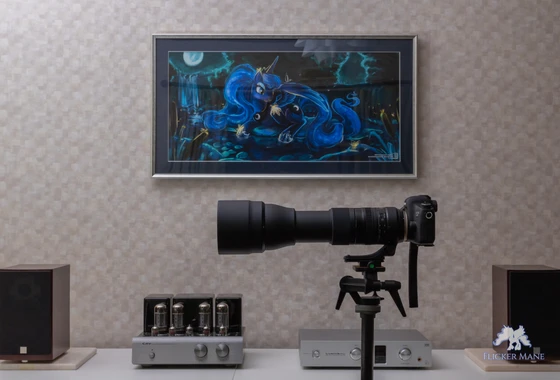 レビュー Tamron Sp 150 600mm F G2 Model A022 ファーストインプレ Flicker Mane レビュー Tamron Sp 150 600mm F G2 Model A022 ファーストインプレ Flicker Mane