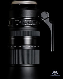 レビュー］TAMRON SP 150-600mm G2 レビュー| Flicker Mane