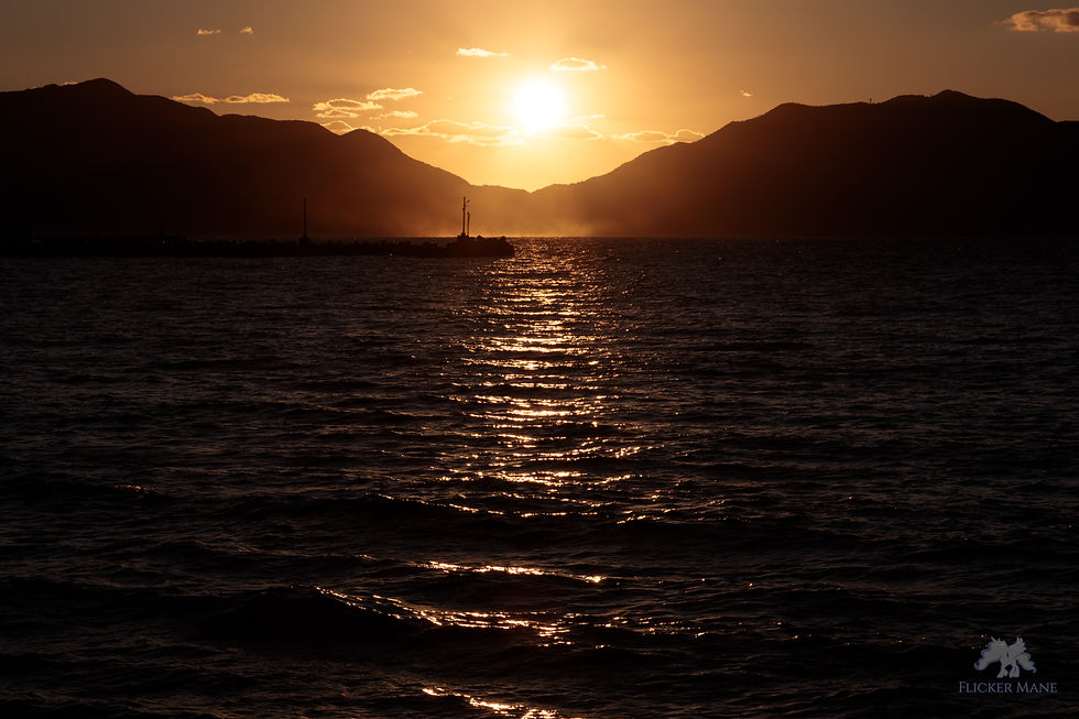 24-105mm F4 DG OS HSM 作例 夕日と波しぶきの写真