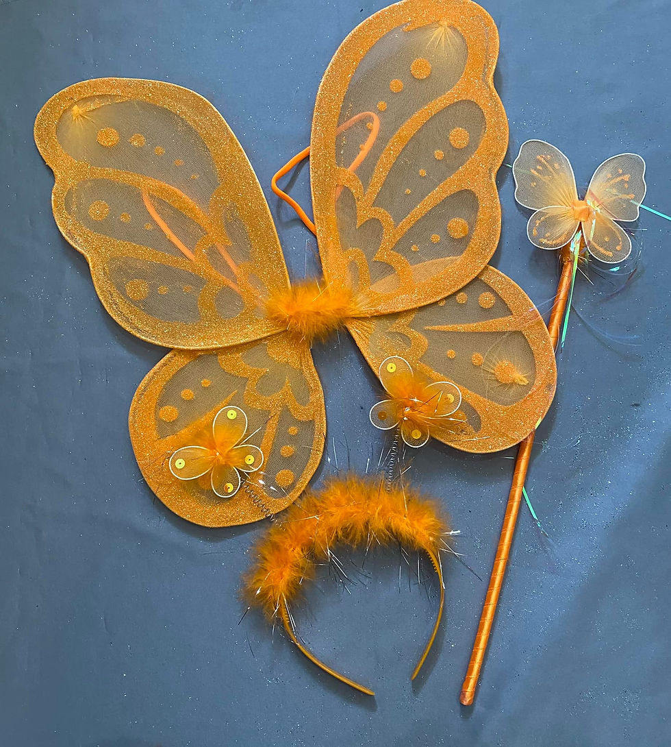 Miniatura: Alas de mariposa catalogo 1