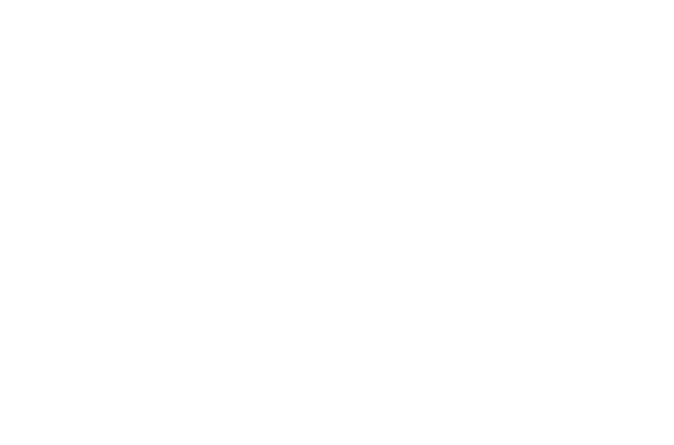 The second all white scene of the eagle story on this page with an eagle flying overhead and an eagle family in a nest