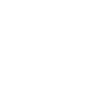 document icon