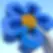 urbanflowers2.webp
