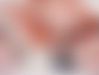 Ecolife's Pest-Free Homes Initiative: A Healthier, Happier Way to Live