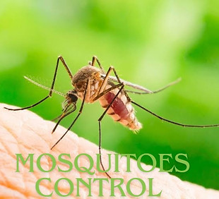 WhatsApp Image 2024-07-07 at 9.52.09 AM.jpeg