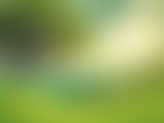 Celebrating Environment Day: Ecolife Pest Control’s Commitment to a Sustainable