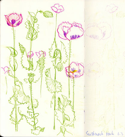 sketch-6.jpg