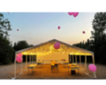 Tente de réception 6x12