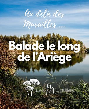 Copie de chambre hôte auterive toulouse les murailles.png