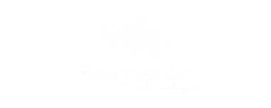 Hediye Arıları