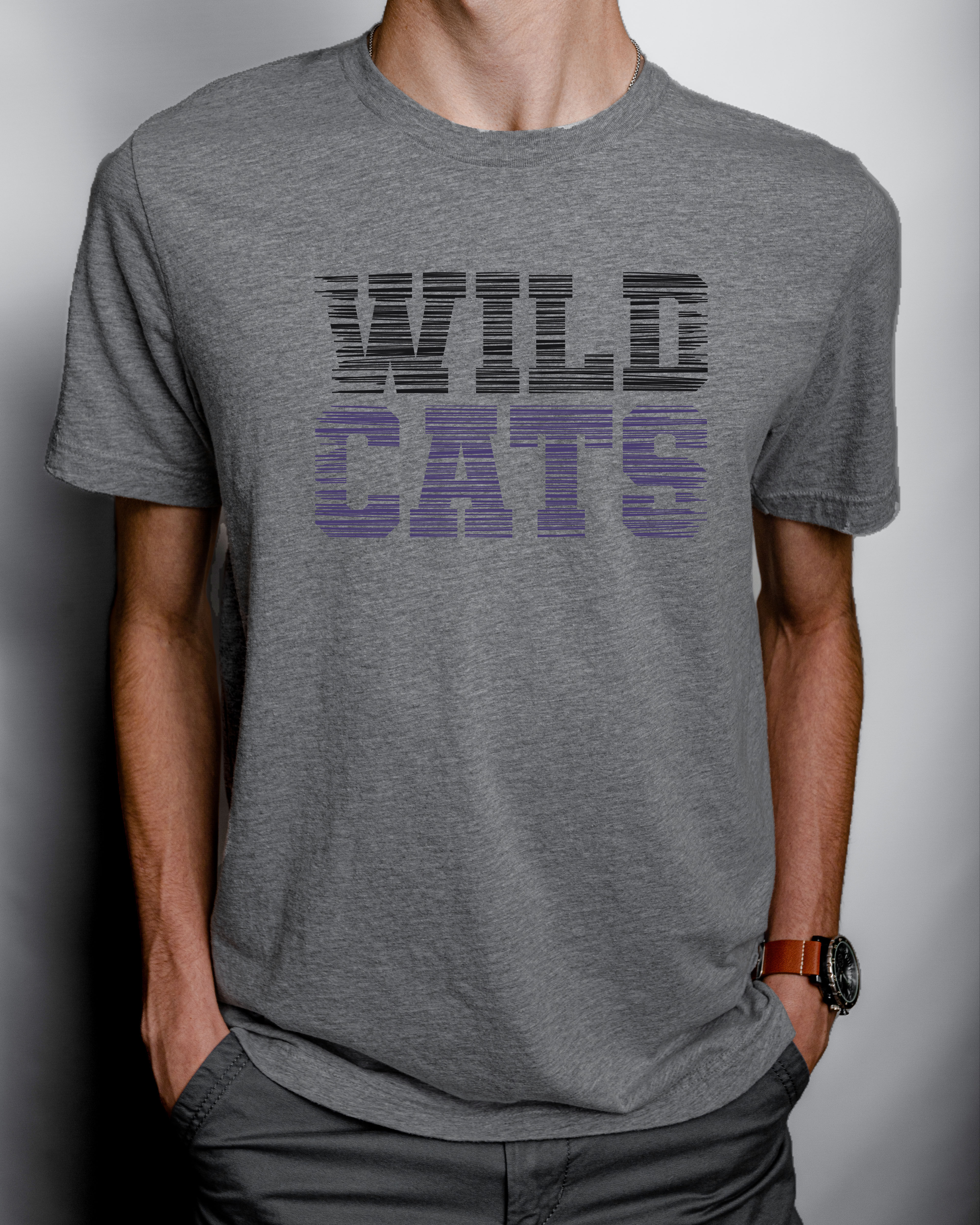 Wildcats Scratch