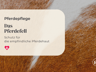 Das Pferdefell: Schutz für die empfindliche Haut