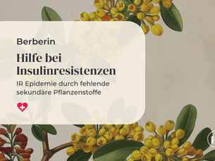 Berberin: Sekundäre Pflanzenstoffe und Kräuter als Hilfe bei Insulinresistenzen beim Pferd