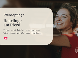 Tips und Tricks zum Thema Haarlinge bei Pferden