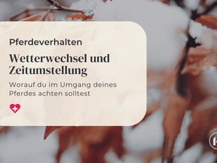 Wetterwechsel, Zeitumstellung - Auswirkungen aufs Pferdeverhalten