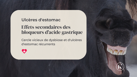 Effets secondaires des antiacides gastriques chez les chevaux : le cercle vicieux de la dysbiose et des ulcères gastriques récurrents