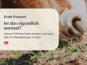 Wenn Pferde Erde fressen - ist das normal?