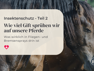 Insektenschutz: Fliegenmittel enthalten fiese Stoffe - Die Wirkungen von Icaridin & Co.
