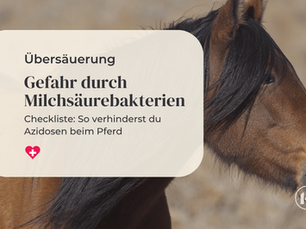 Übersäuerung beim Pferd – Warum Milchsäurebakterien kritisch sind und wie du Azidosen vermeidest