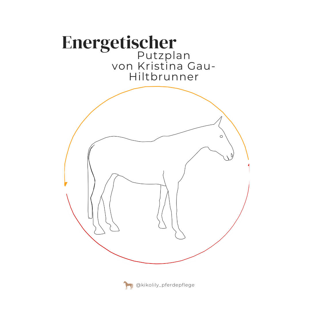 Energetischer Putzplan