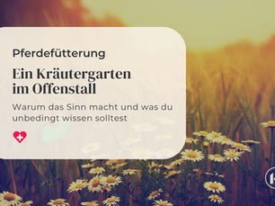 Ein Kräutergarten für Pferde