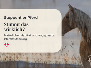 Pferde sind Steppentiere - stimmt das überhaupt?