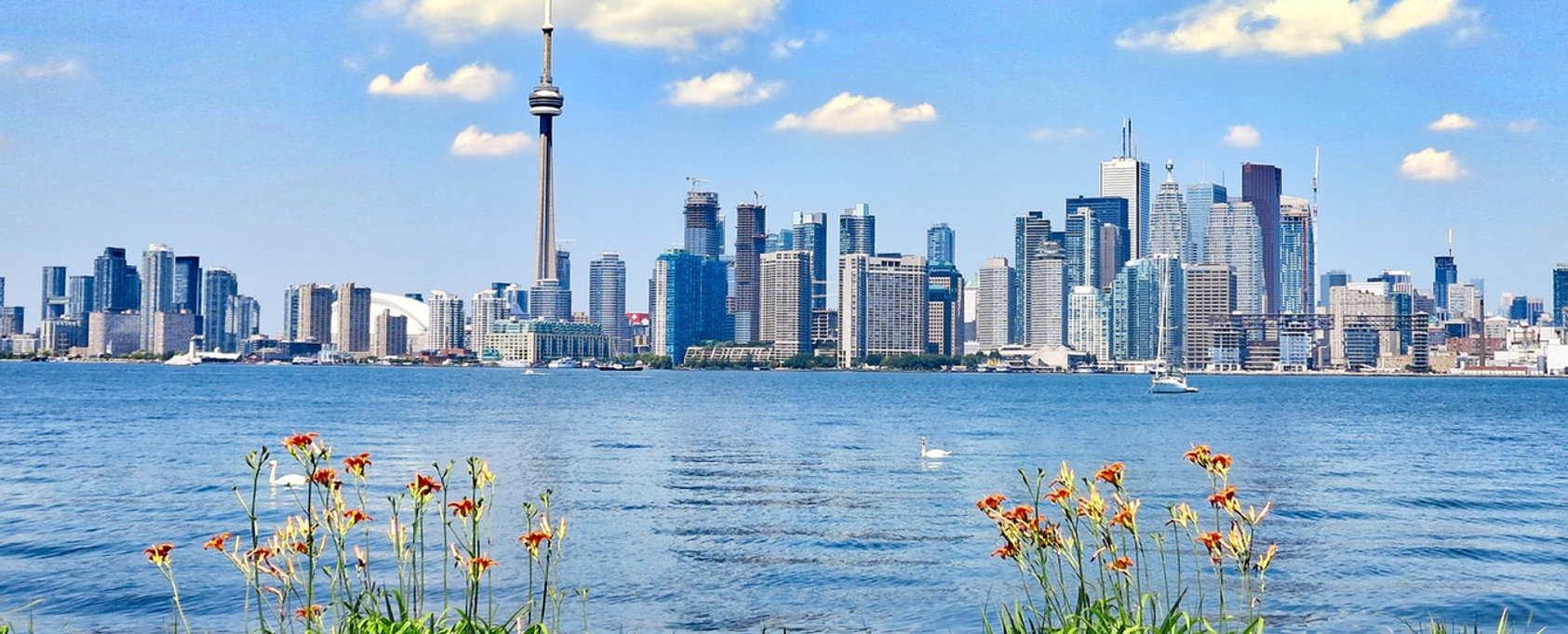toronto.jpeg