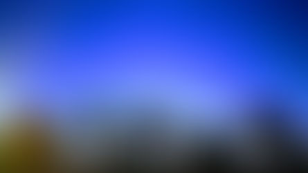 The Color of Trust