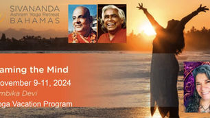 Taming the Mind Retreat November 2024