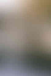 something borrowed decor welcome sign at Lord Thompson Manor wedding