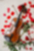 ARIANA-STRINGS-2025-CARLA-TEN-EYCK--160.jpeg