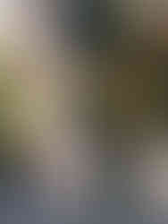 Bride holding a soft neutral wedding bouquet in front of a fall floral ceremony arch at an outdoor estate venue