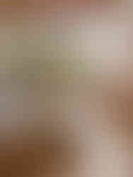 Close-up of an editorial fall wedding table setting with gold flatware, fine china, and organic floral centerpiece