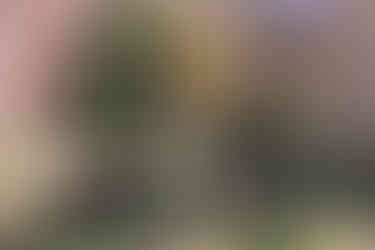 classical wedding musicians setting up for ceremony at lord thompson manor wedding