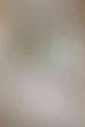 Tyde at Walnut Beach wedding reception centerpiece with white roses, hydrangeas, and blue flowers