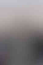 Tyde at Walnut Beach wedding aerial shot with guests and wedding party