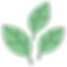 leaves (1).png