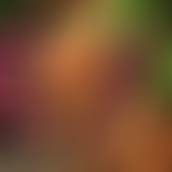 Coming Summer of 2026