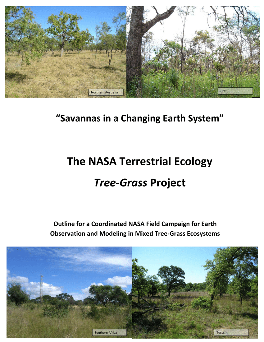 Terrestrial Plant Ecology Pdf