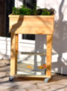 Aquapouss terrasse.jpg