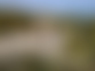 Monastero degli Olivetani - Trekking sui colli Euganei