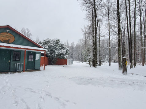 Silverbrook Kennels dog training facilities during winter