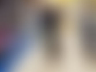 Photo of an obedient German Shepherd trained by Silverbrook Kennels. Dog obedience training stafford va