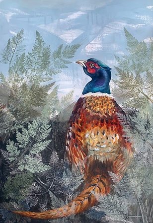 Pheasant in woodland