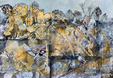Gilded Sparrows