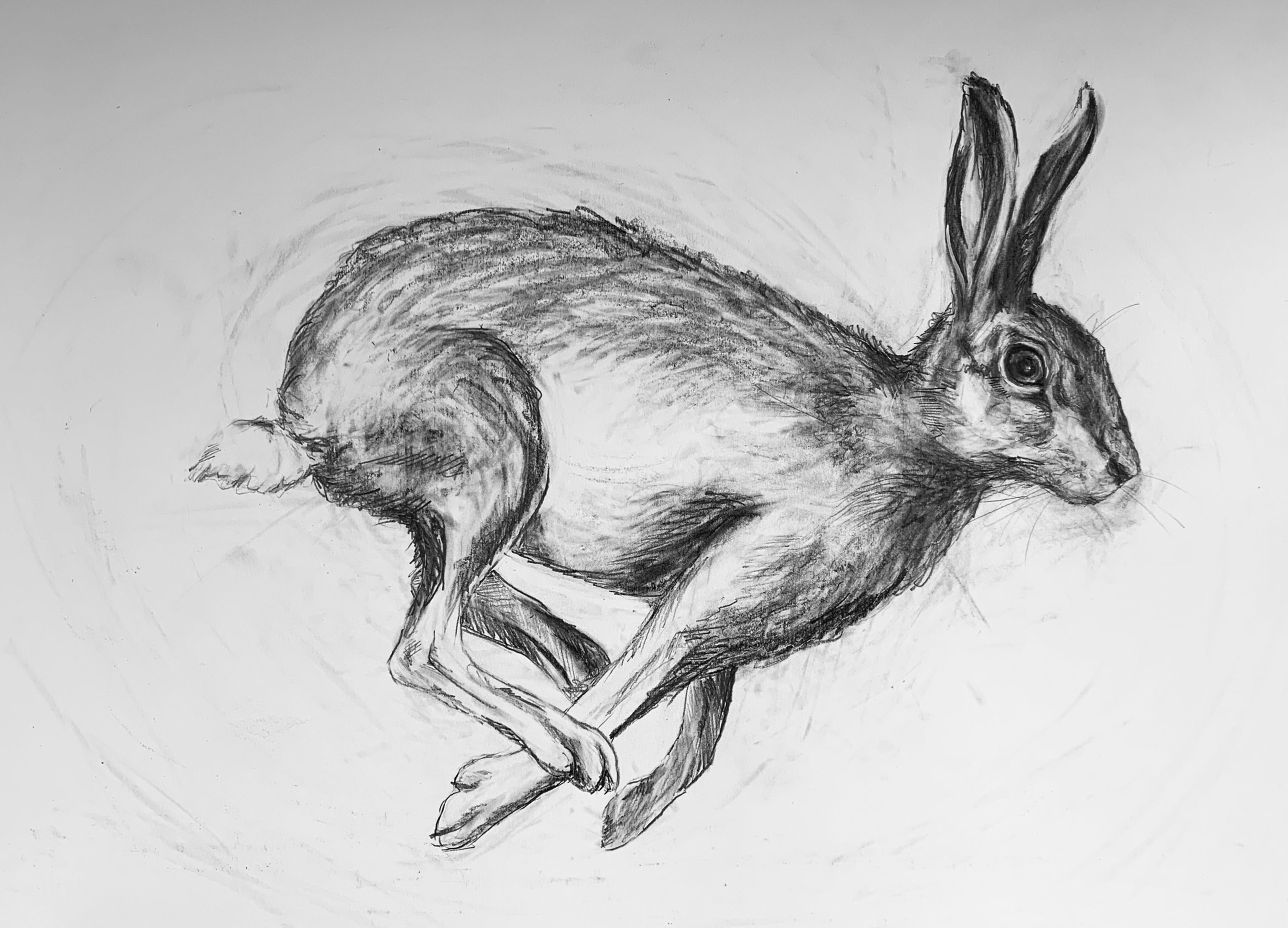 Running Hare  Mounted Giclee Print