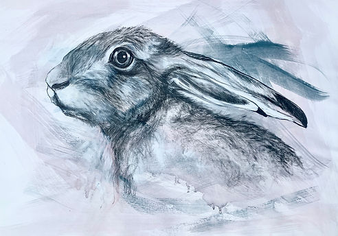 Hare Head